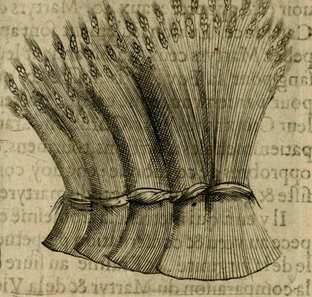 An illustration from Deuises heroiques et emblemes, 1621, leaf 265