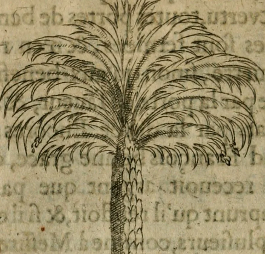 An illustration from Deuises heroiques et emblemes, 1621, leaf 271