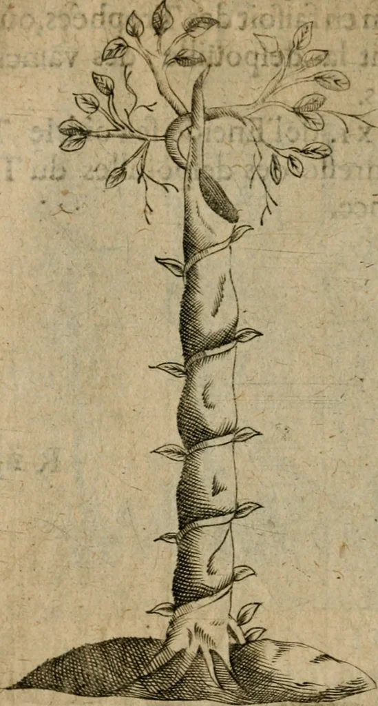 An illustration from Deuises heroiques et emblemes, 1621, leaf 277
