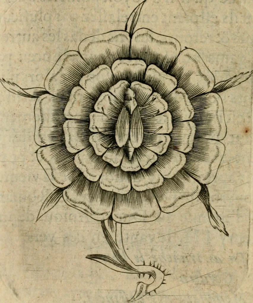 An illustration from Deuises heroiques et emblemes, 1621, leaf 289