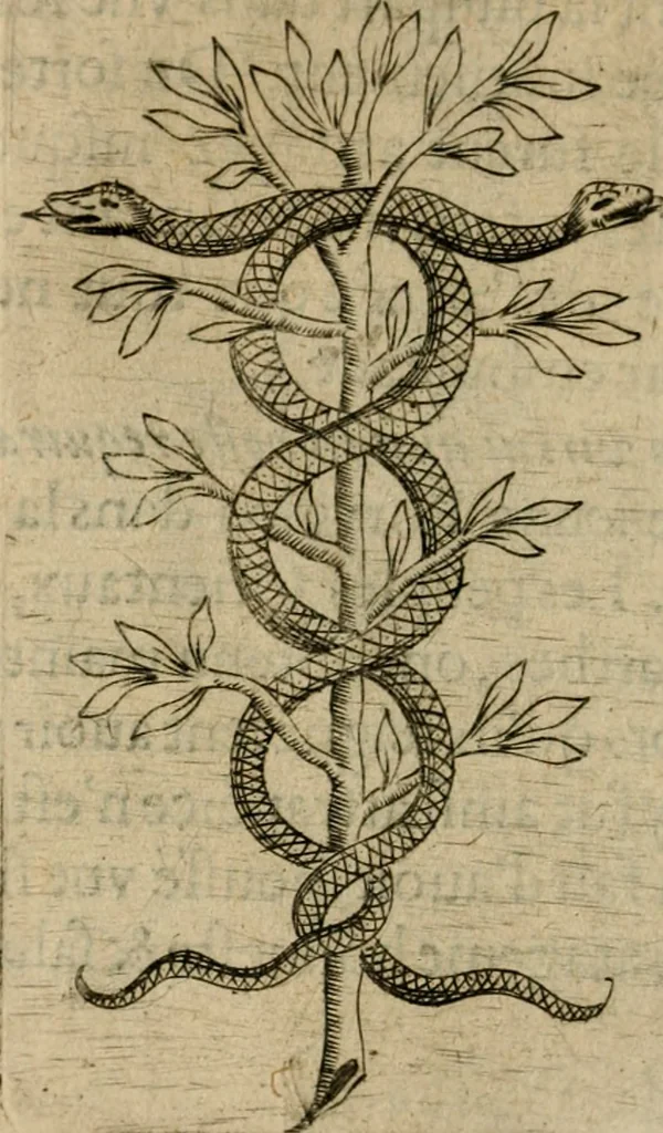 An illustration from Deuises heroiques et emblemes, 1621, leaf 305