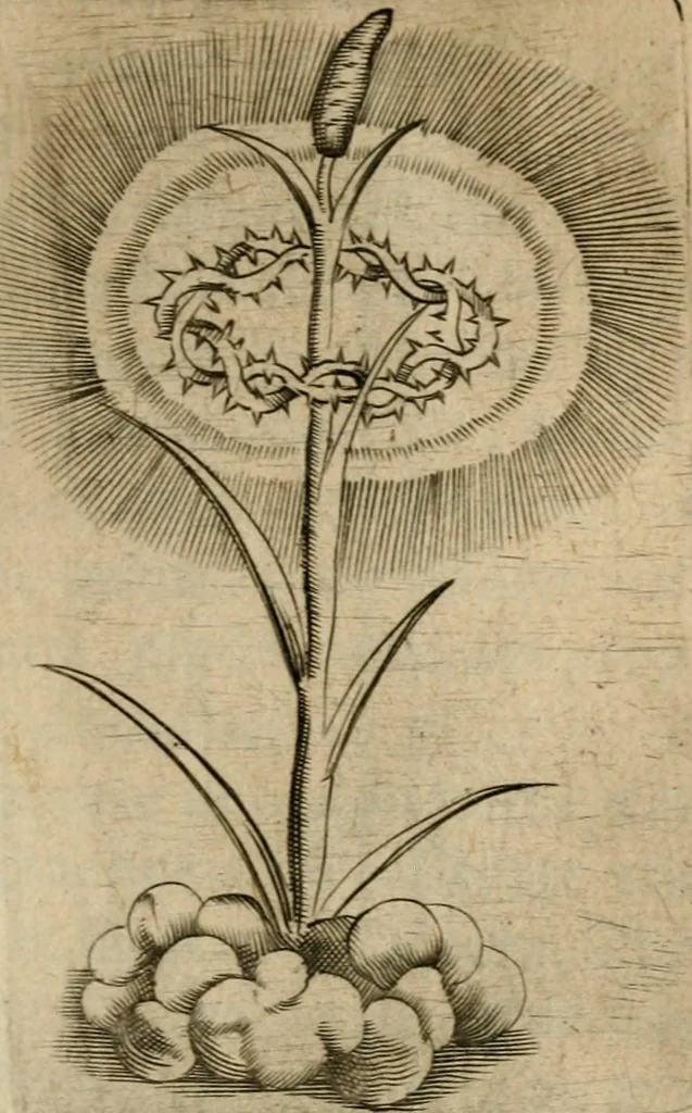 An illustration from Deuises heroiques et emblemes, 1621, leaf 314