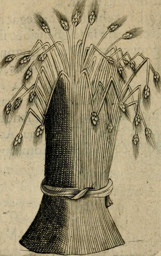 An illustration from Deuises heroiques et emblemes, 1621, leaf 319