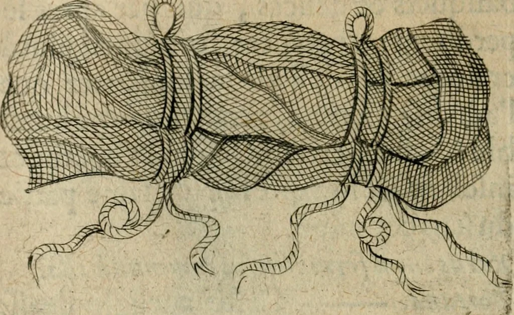 An illustration from Deuises heroiques et emblemes, 1621, leaf 321