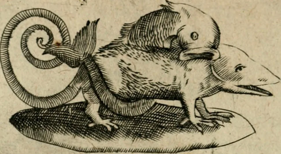 An illustration from Deuises heroiques et emblemes, 1621, leaf 325