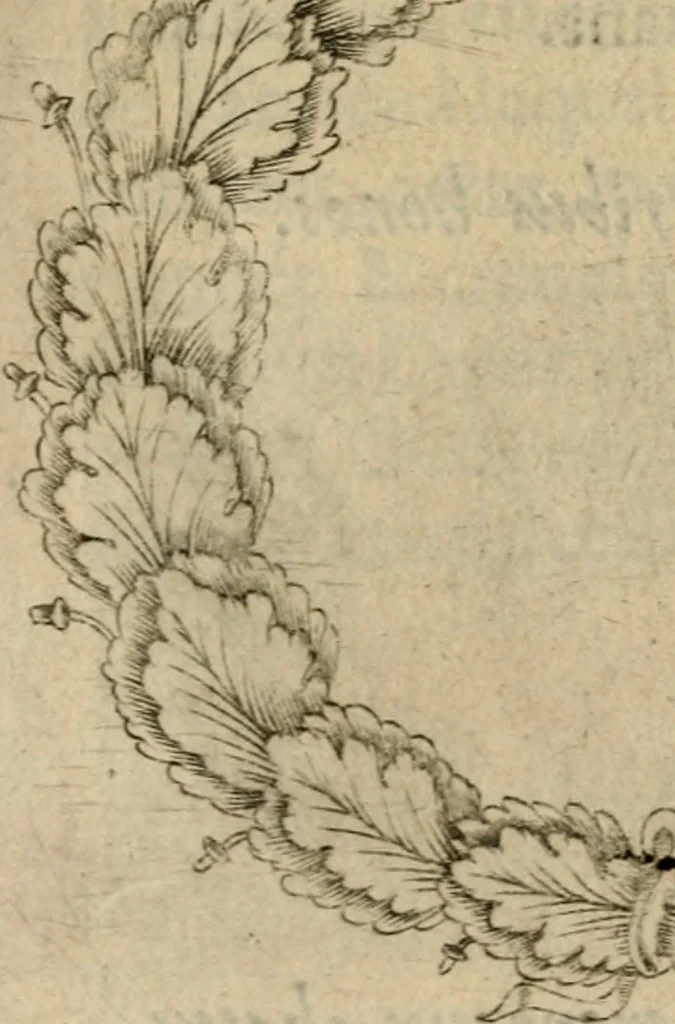 An illustration from Deuises heroiques et emblemes, 1621, leaf 338