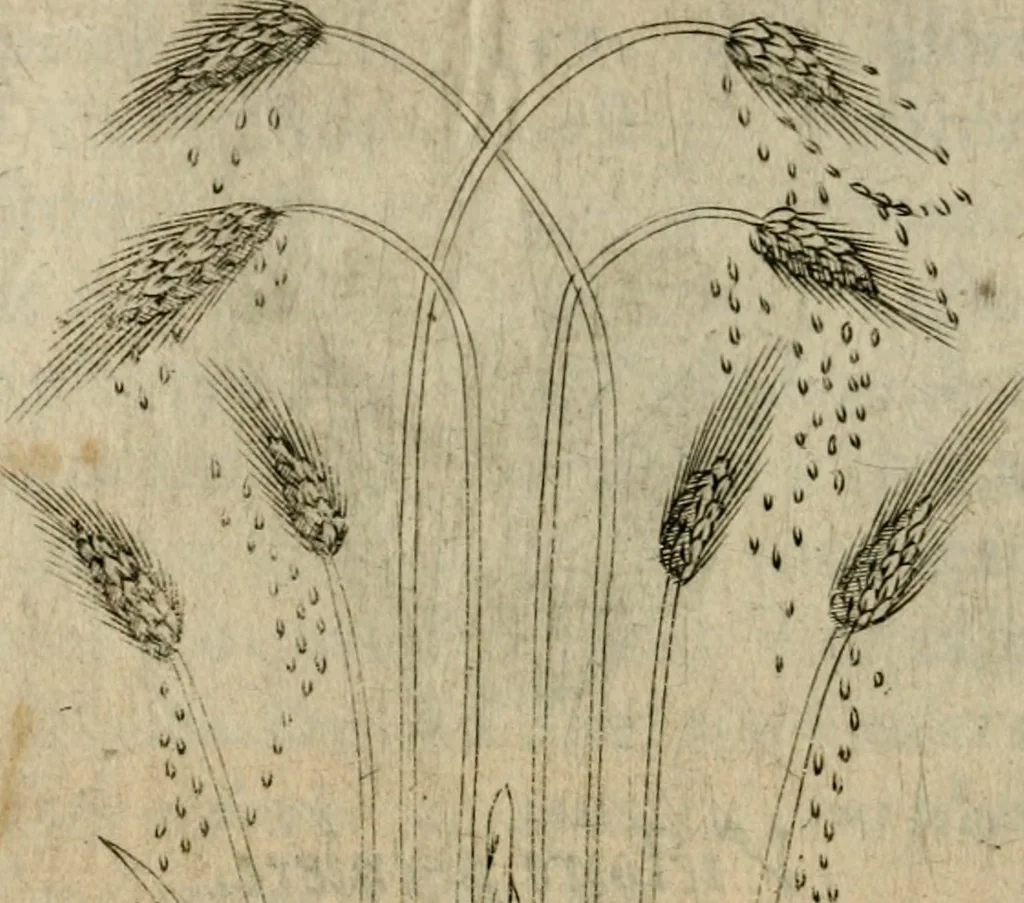 An illustration from Deuises heroiques et emblemes, 1621, leaf 347