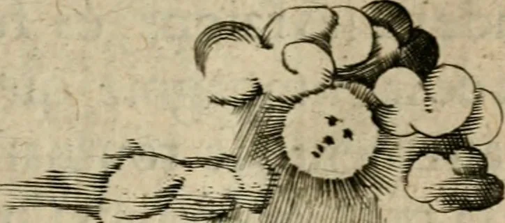 An illustration from Deuises heroiques et emblemes, 1621, leaf 60