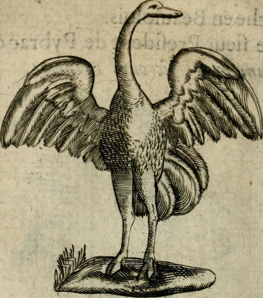An illustration from Deuises heroiques et emblemes, 1621, leaf 71