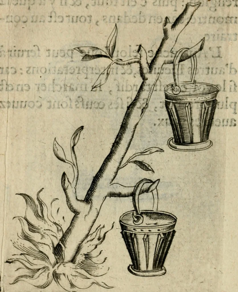 An illustration from Deuises heroiques et emblemes, 1621, leaf 73