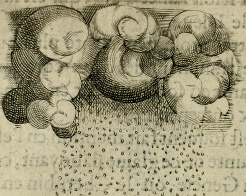 An illustration from Deuises heroiques et emblemes, 1621, leaf 81