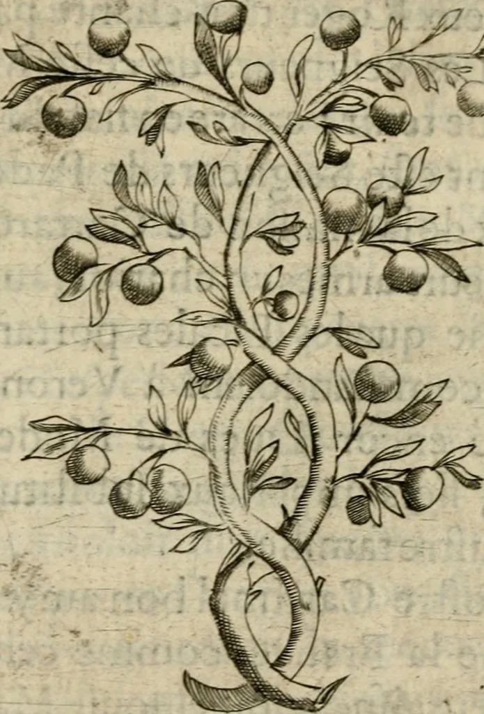 An illustration from Deuises heroiques et emblemes, 1621, leaf 84