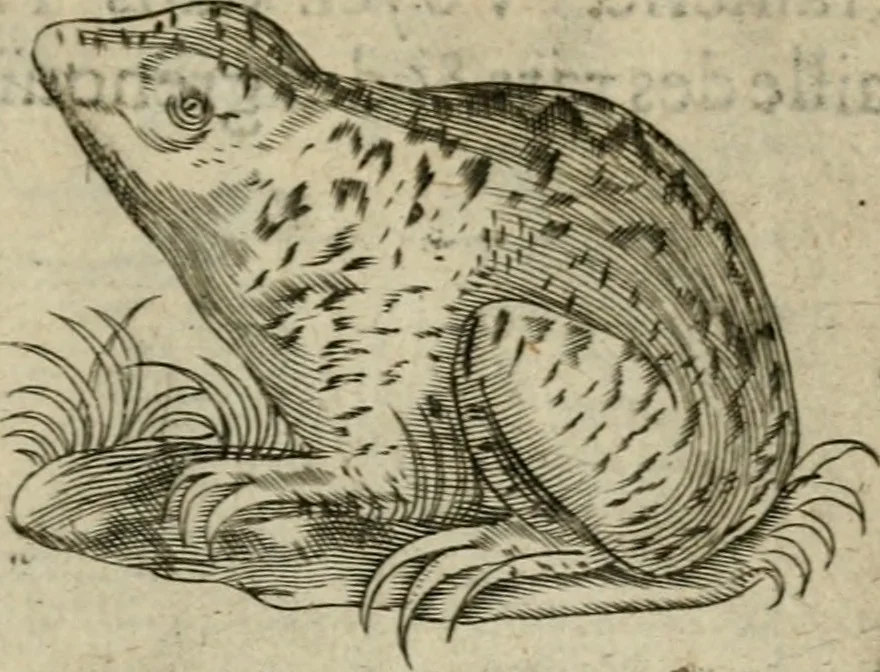 An illustration from Deuises heroiques et emblemes, 1621, leaf 94