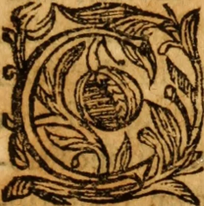 An illustration from De urinis et pulsibus : de missione sanguinis, de febribus, de morbis capitis, et pectoris, 1698, leaf 282