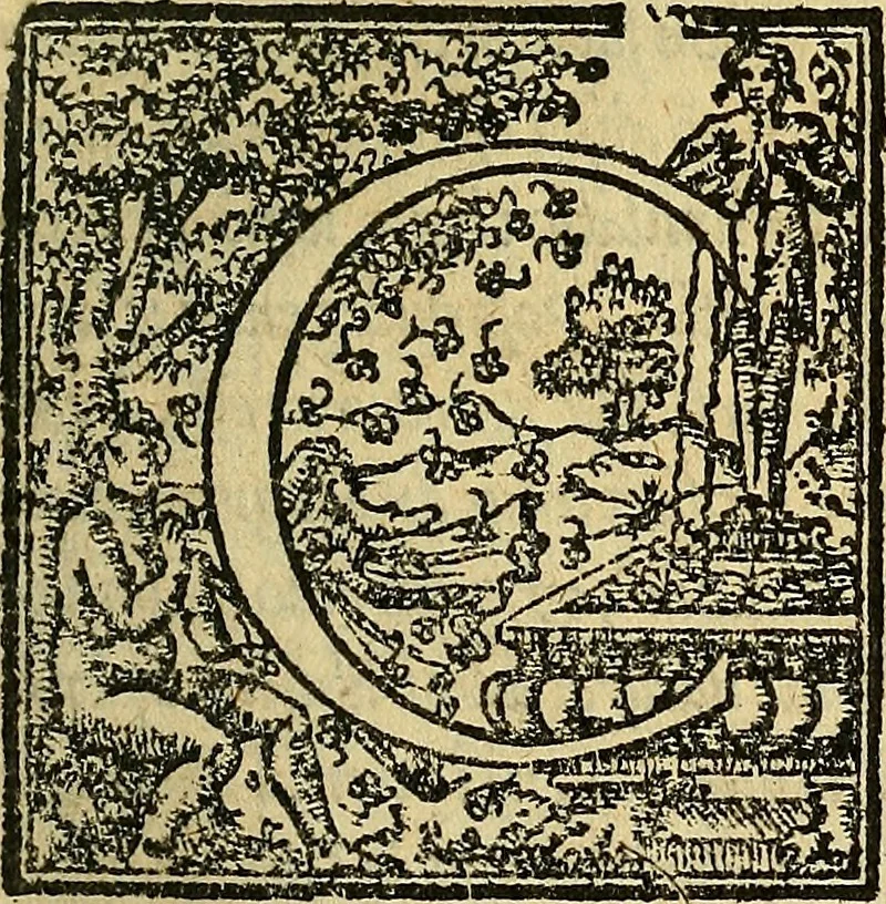 An illustration from De urinis libri III : quorum, primus De urinarum differentijs est : secvndvs, de urinarum causis : tertius, de providentia ex urinis, 1560, leaf 20