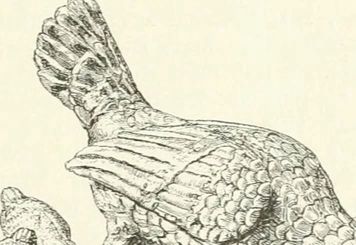 An illustration from Deutsche Kunstgeschichte, 1888, leaf 24