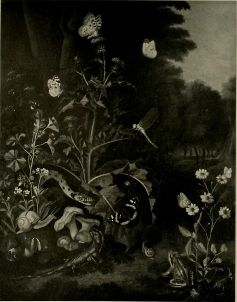 An illustration from Deutsches barock und rokoko : herausgegeben im anschluss an die Jahrhundert-ausstellung deutscher kunst 1650-1800, Darmstadt, 1914, 1914, leaf 147