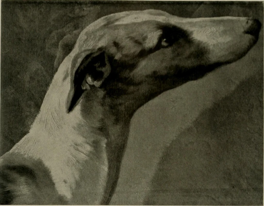 An illustration from Deutsches barock und rokoko : herausgegeben im anschluss an die Jahrhundert-ausstellung deutscher kunst 1650-1800, Darmstadt, 1914, 1914, leaf 319