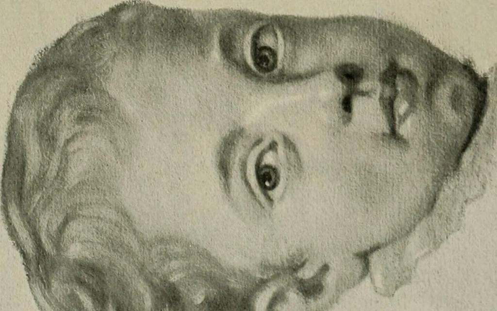 An illustration from Deutsches barock und rokoko : herausgegeben im anschluss an die Jahrhundert-ausstellung deutscher kunst 1650-1800, Darmstadt, 1914, 1914, leaf 331