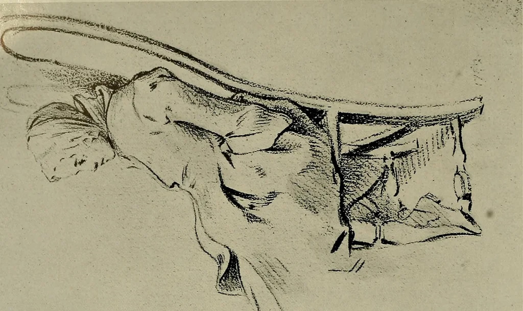 An illustration from Deutsches barock und rokoko : herausgegeben im anschluss an die Jahrhundert-ausstellung deutscher kunst 1650-1800, Darmstadt, 1914, 1914, leaf 348
