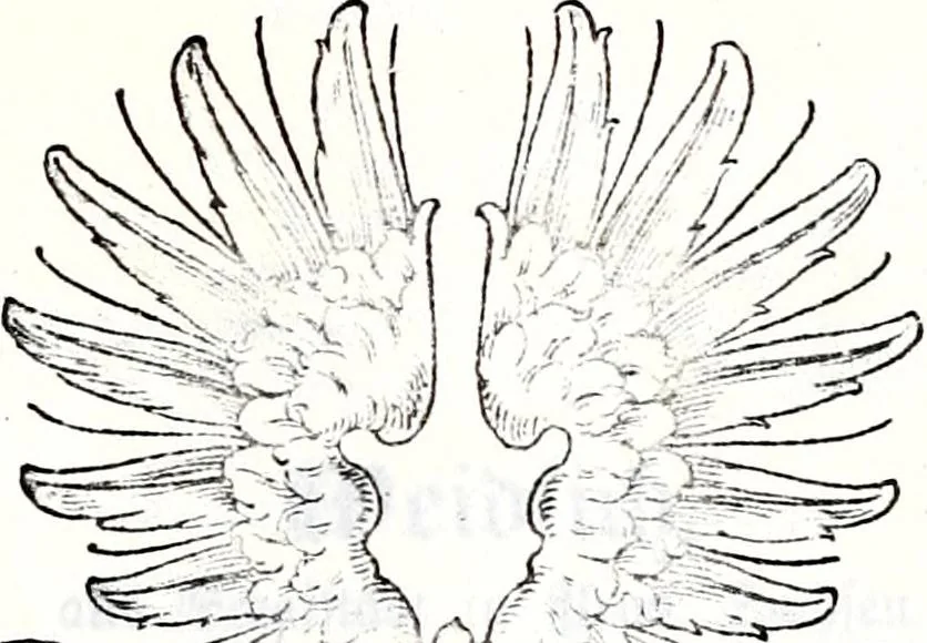 An illustration from Deutsches Geschlechterbuch (Genealogisches Handbuch bürgerlicher Familien.), 1889, leaf 1093