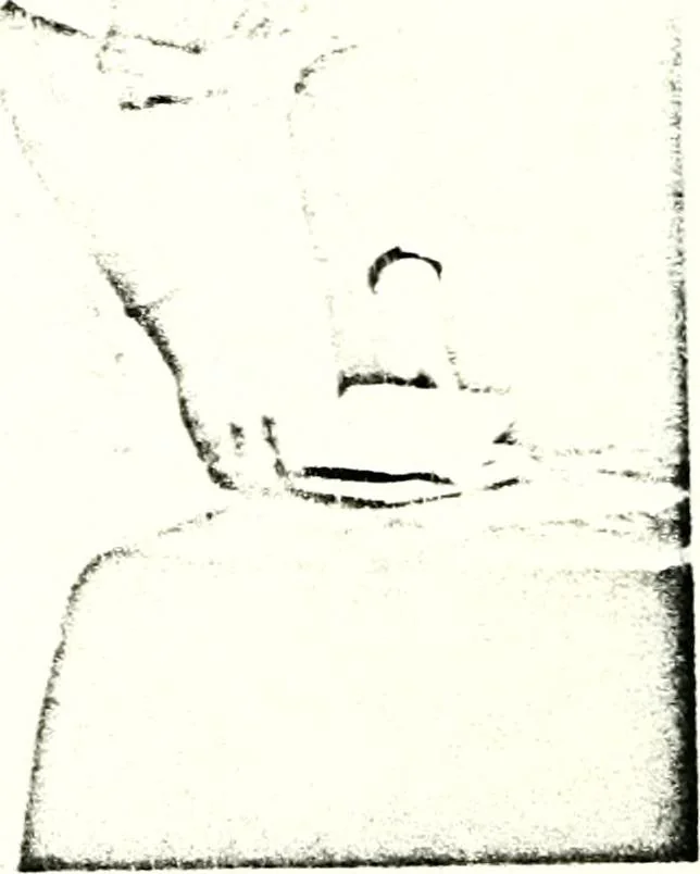 An illustration from Deutsches Geschlechterbuch (Genealogisches Handbuch bürgerlicher Familien.), 1889, leaf 546