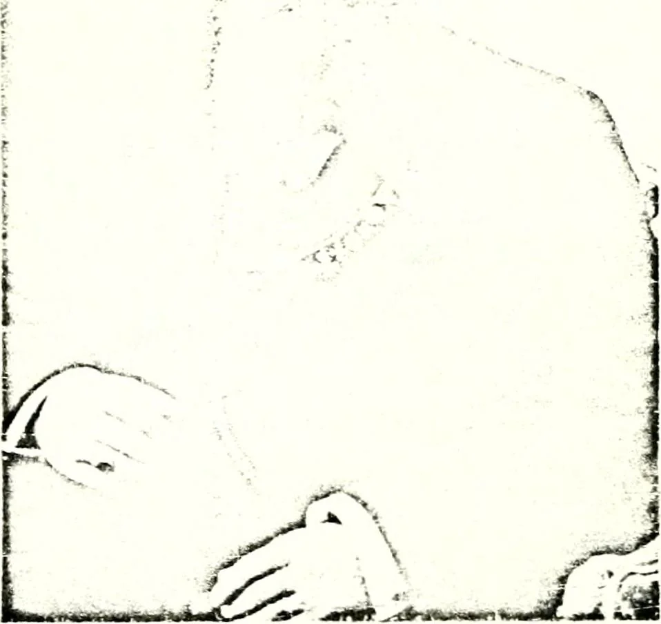 An illustration from Deutsches Geschlechterbuch (Genealogisches Handbuch bürgerlicher Familien.), 1889, leaf 556