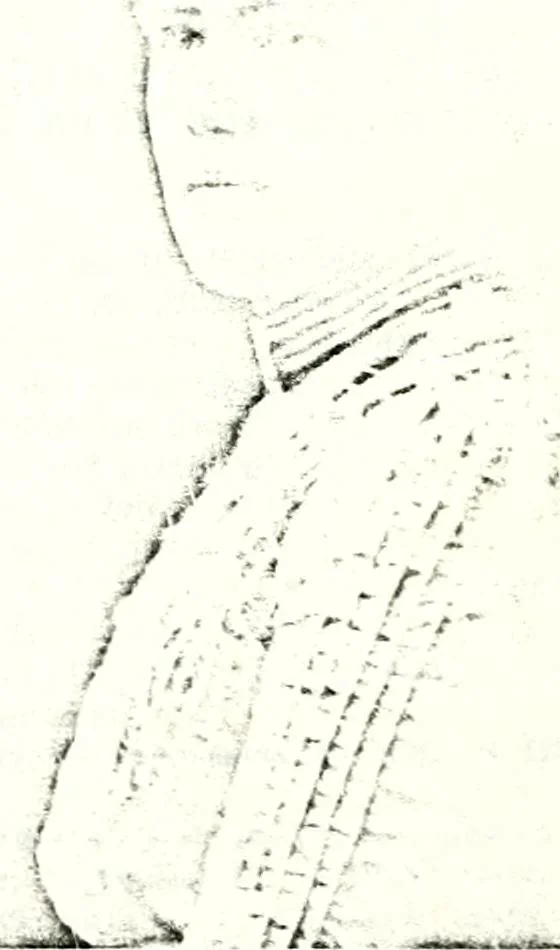 An illustration from Deutsches Geschlechterbuch (Genealogisches Handbuch bürgerlicher Familien.), 1889, leaf 870