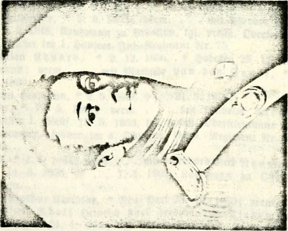 An illustration from Deutsches Geschlechterbuch (Genealogisches Handbuch bürgerlicher Familien.), 1889, leaf 121
