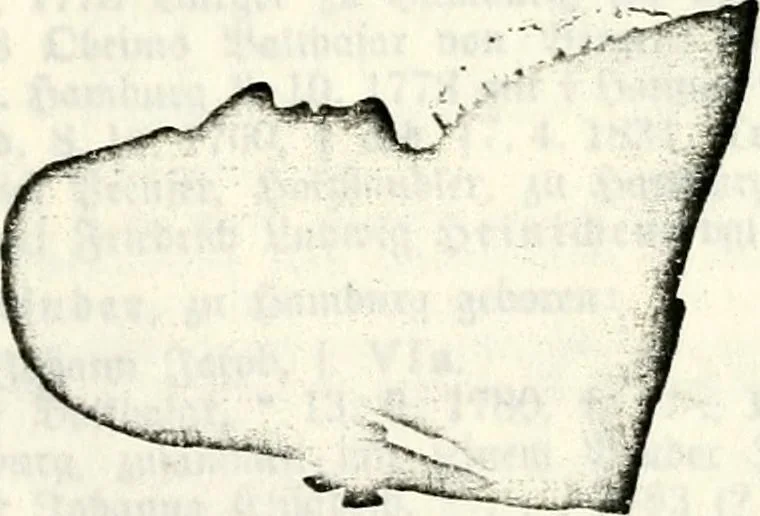 An illustration from Deutsches Geschlechterbuch (Genealogisches Handbuch bürgerlicher Familien.), 1889, leaf 187