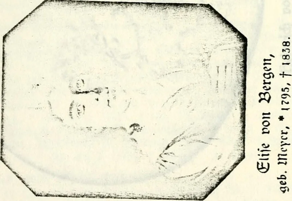 An illustration from Deutsches Geschlechterbuch (Genealogisches Handbuch bürgerlicher Familien.), 1889, leaf 193