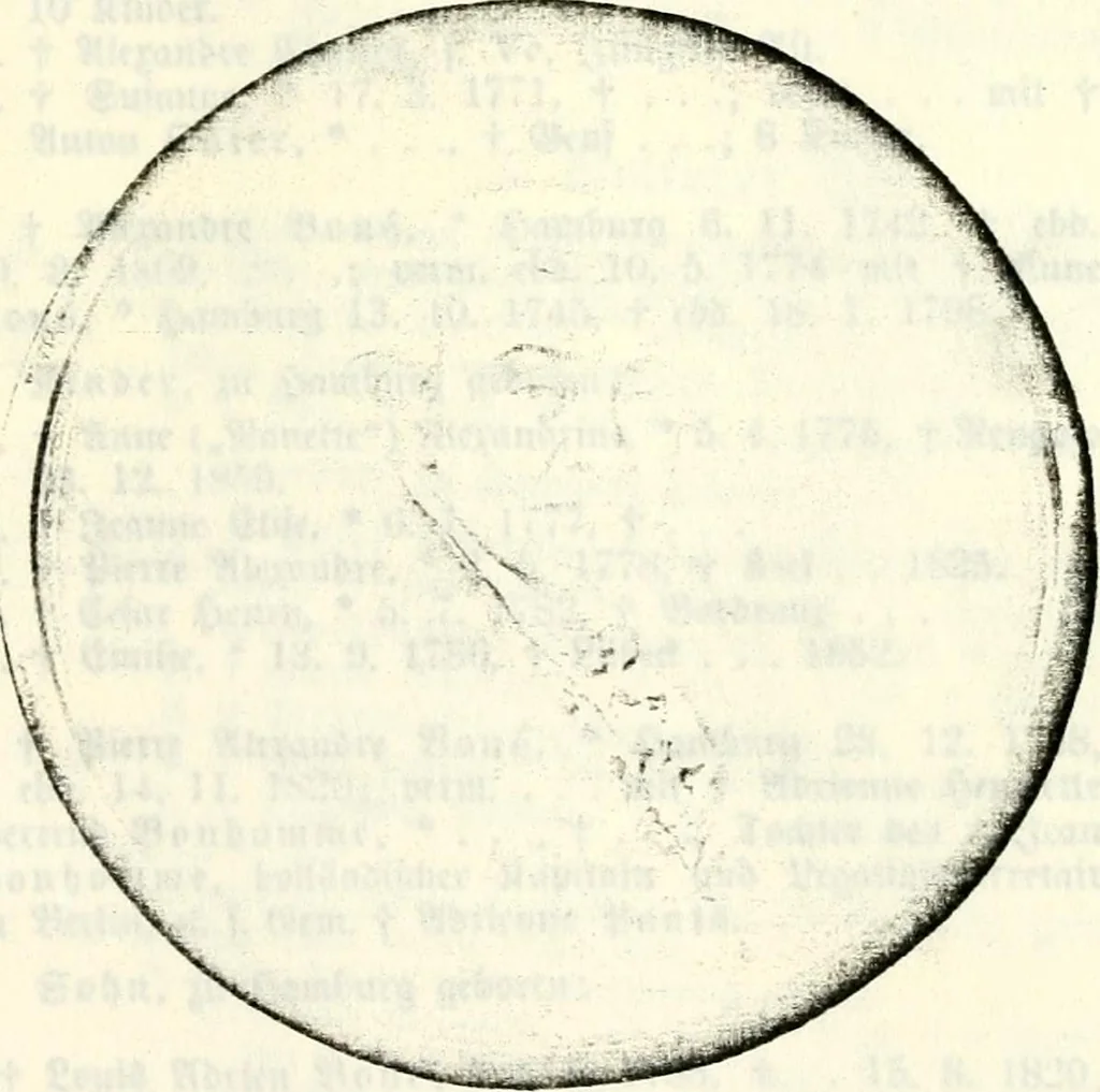 An illustration from Deutsches Geschlechterbuch (Genealogisches Handbuch bürgerlicher Familien.), 1889, leaf 385