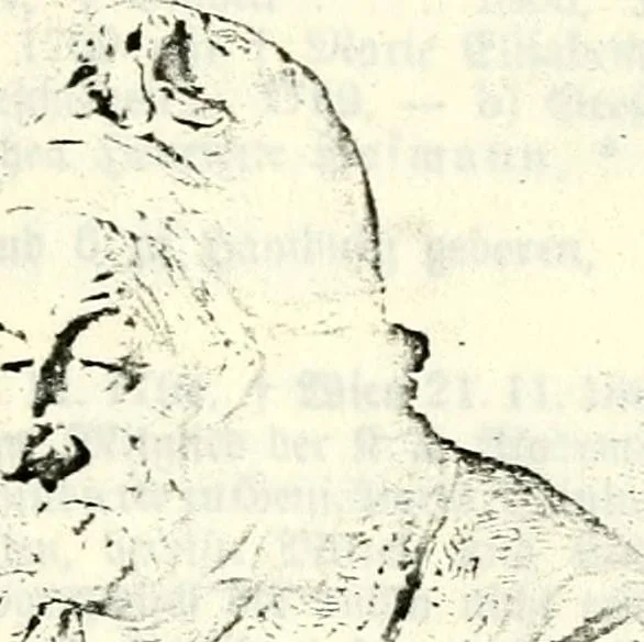 An illustration from Deutsches Geschlechterbuch (Genealogisches Handbuch bürgerlicher Familien.), 1889, leaf 403