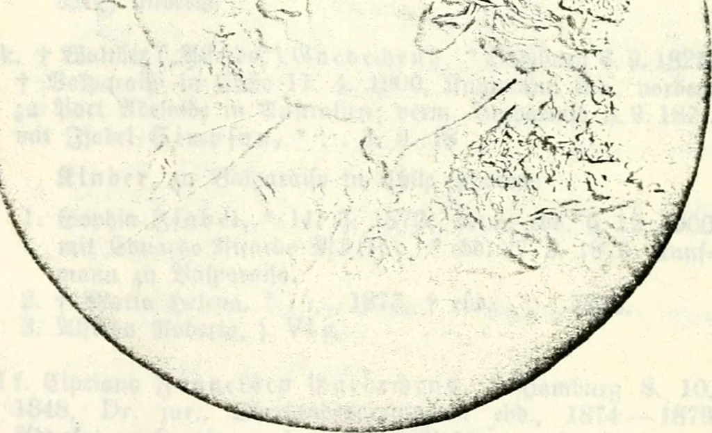 An illustration from Deutsches Geschlechterbuch (Genealogisches Handbuch bürgerlicher Familien.), 1889, leaf 683