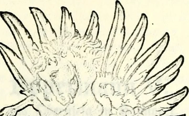 An illustration from Deutsches Geschlechterbuch (Genealogisches Handbuch bürgerlicher Familien.), 1889, leaf 759