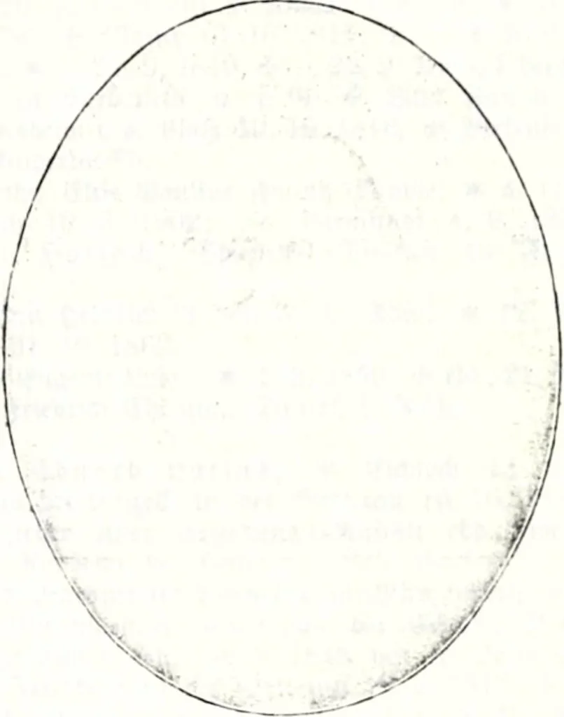 An illustration from Deutsches Geschlechterbuch (Genealogisches Handbuch bürgerlicher Familien.), 1889, leaf 192