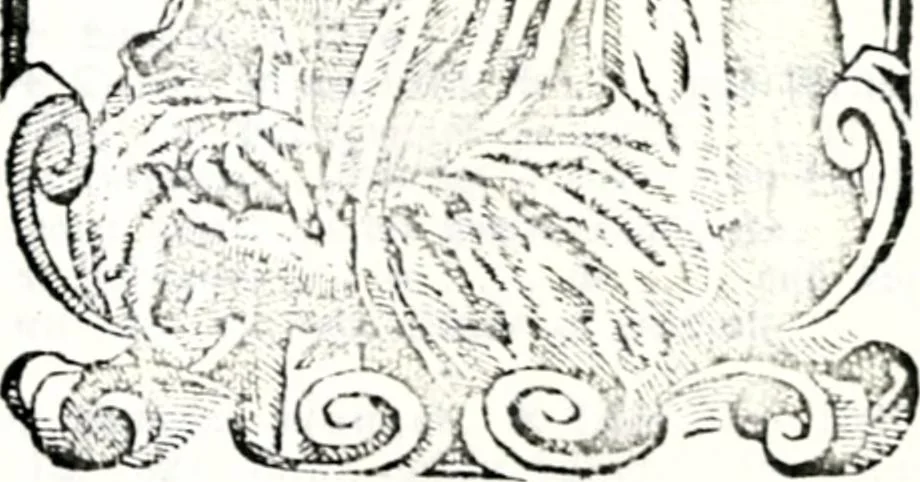 An illustration from Deutsches Geschlechterbuch (Genealogisches Handbuch bürgerlicher Familien.), 1889, leaf 272