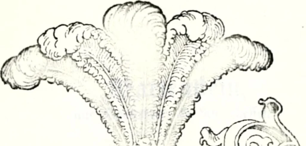 An illustration from Deutsches Geschlechterbuch (Genealogisches Handbuch bürgerlicher Familien.), 1889, leaf 318