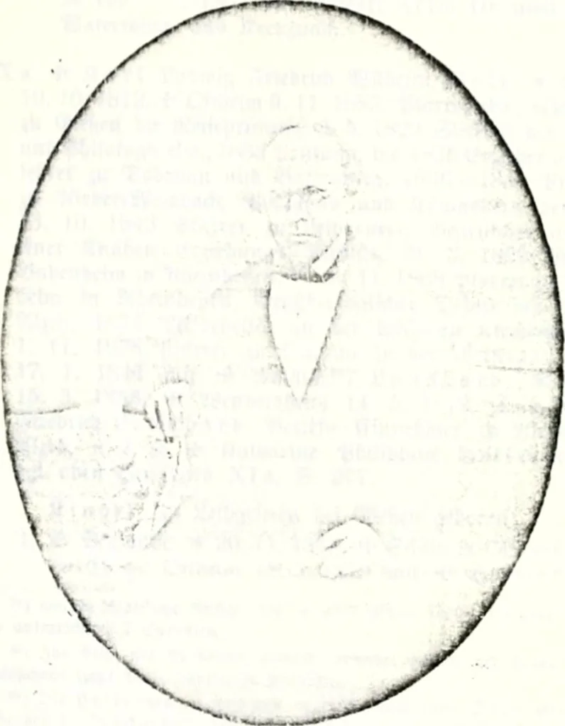 An illustration from Deutsches Geschlechterbuch (Genealogisches Handbuch bürgerlicher Familien.), 1889, leaf 596