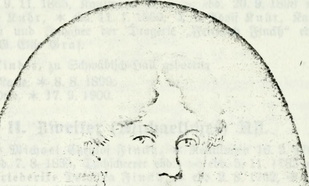 An illustration from Deutsches Geschlechterbuch (Genealogisches Handbuch bürgerlicher Familien.), 1889, leaf 467