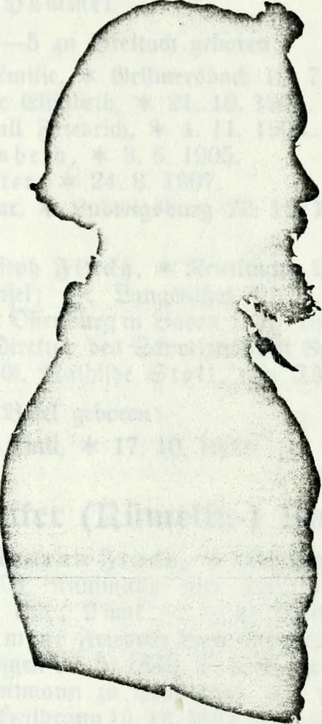 An illustration from Deutsches Geschlechterbuch (Genealogisches Handbuch bürgerlicher Familien.), 1889, leaf 675