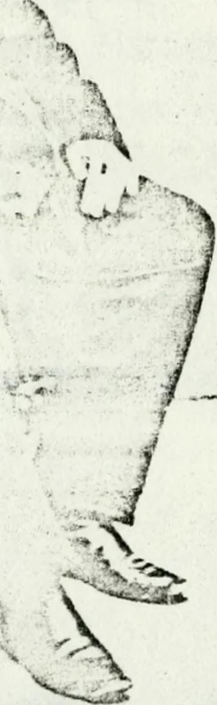 An illustration from Deutsches Geschlechterbuch (Genealogisches Handbuch bürgerlicher Familien.), 1889, leaf 727