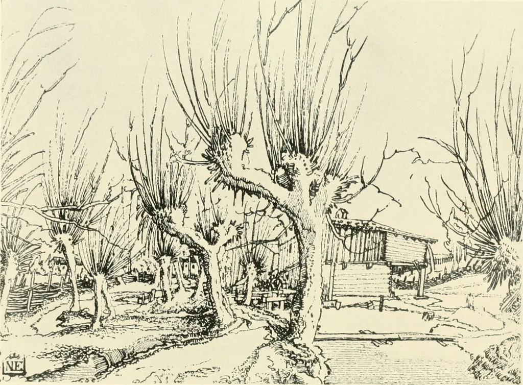 An illustration from Deutsche Zeichner von der Gotik bis zum Rokoko, 1921, leaf 135