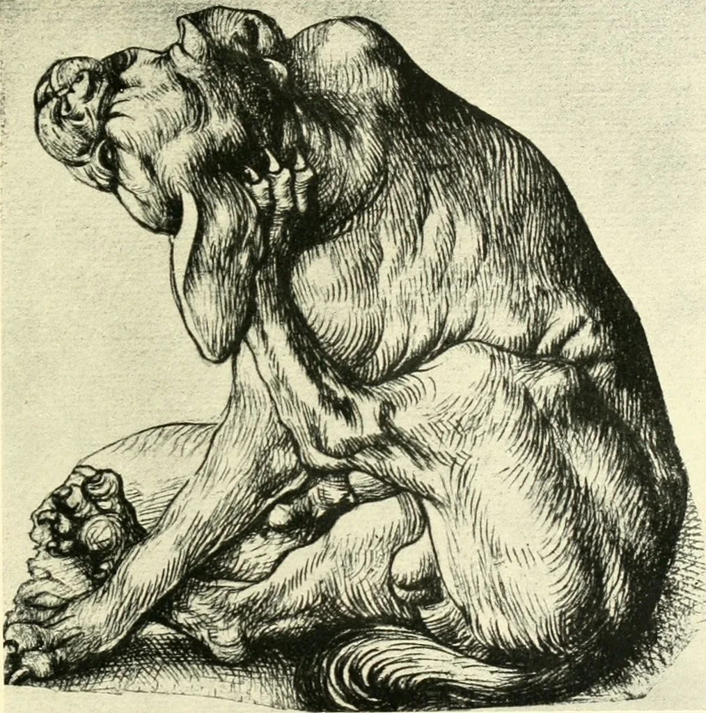An illustration from Deutsche Zeichner von der Gotik bis zum Rokoko, 1921, leaf 76