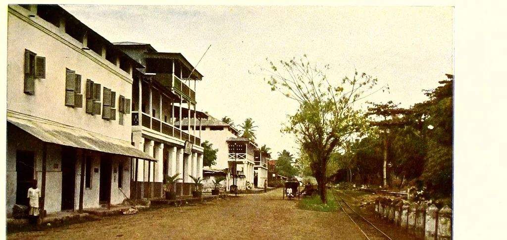 An illustration from Deutschlands Kolonien in achtzig farbenphotographischen Abbildungen : nach eigenen Naturaufnahmen, 1914, leaf 101
