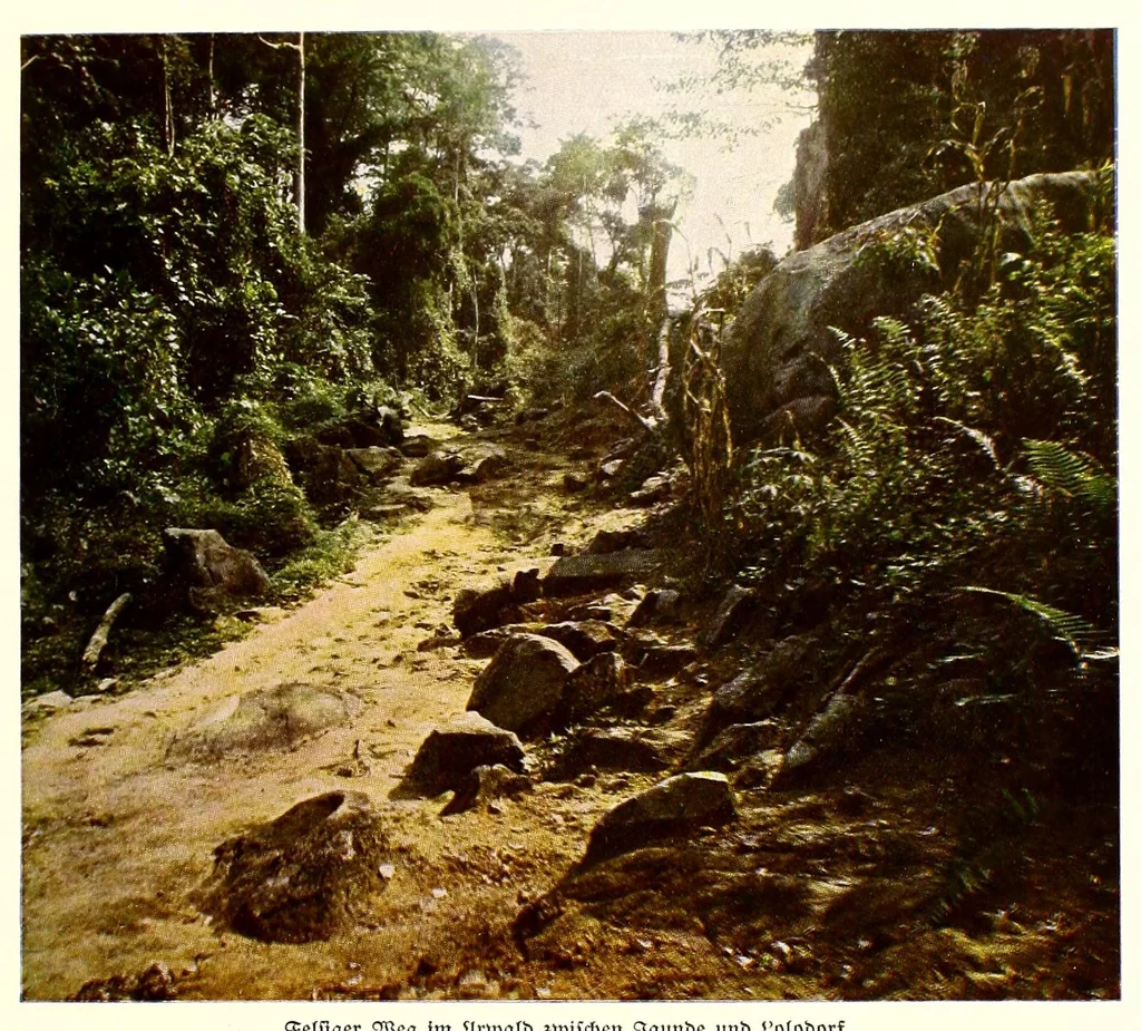 An illustration from Deutschlands Kolonien in achtzig farbenphotographischen Abbildungen : nach eigenen Naturaufnahmen, 1914, leaf 41