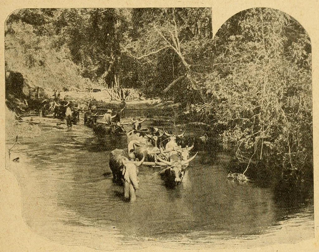 An illustration from Deux ans au Katanga : notes et impressions, 1922, leaf 107