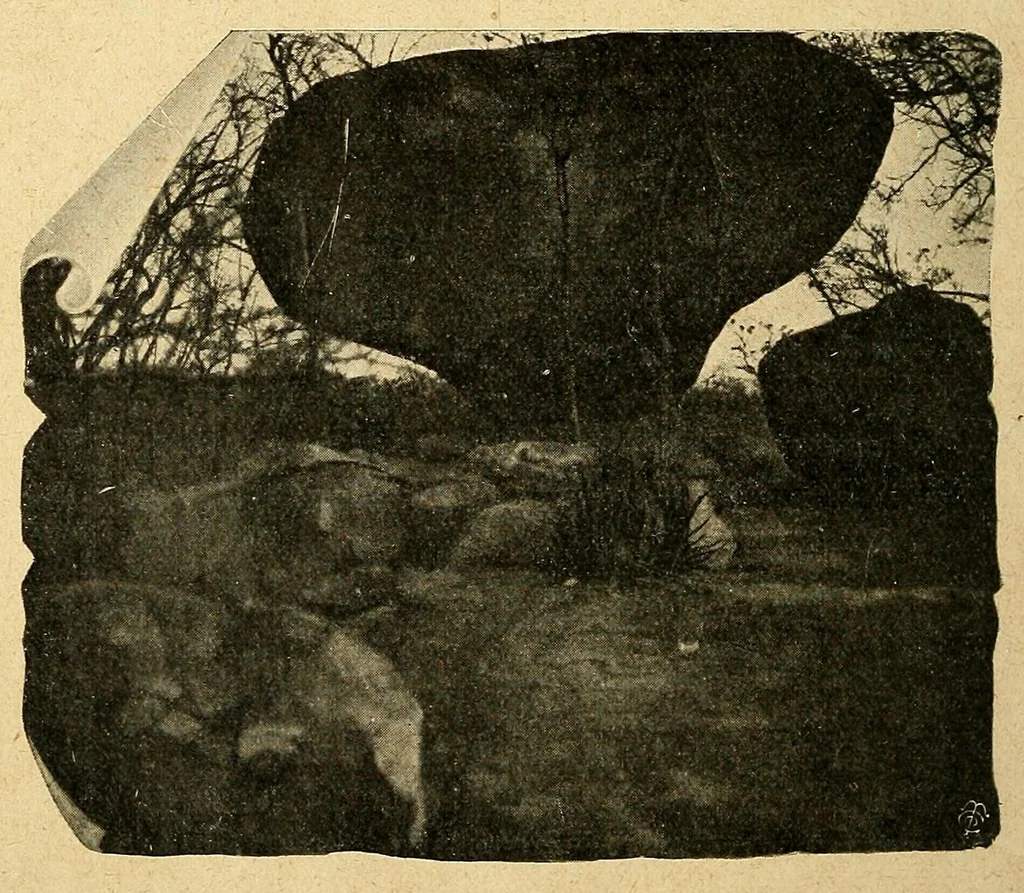 An illustration from Deux ans au Katanga : notes et impressions, 1922, leaf 30