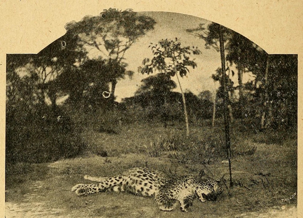 An illustration from Deux ans au Katanga : notes et impressions, 1922, leaf 96