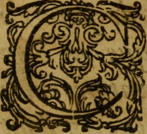 An illustration from Deux traitez de ce tems : le 1. est de l'impossibilité & impertinence du Concile, tel qu'il a esté demandé par requeste au roy, & des inconveniens qui en pourroient arriver : le 2. est vn discours sur l'histoire de l'Eglise ancienne, et estat des gaules, écrite par S. Gregoire E. de Tours, où sont decidees les principales controverses par les peres de quatre or six premiers siecles, 1614, leaf 6